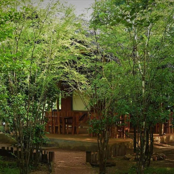 Sky Forest Habarana Eksteriør billede
